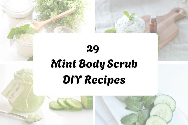 29 Mint Body Scrub DIY Recipes