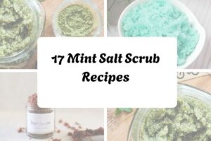 httpswishfulyou.commint-salt-scrub-recipes_20251206165427