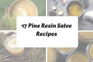 httpswishfulyou.compine-resin-salve-recipes_20251206164901