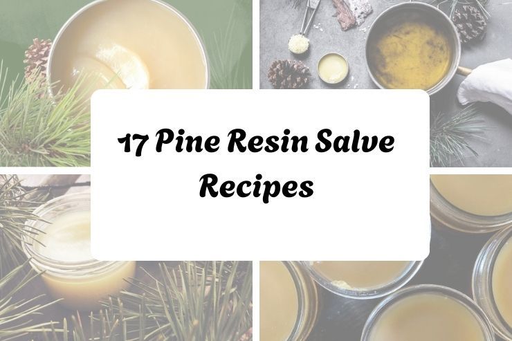 17 Pine Resin Salve Recipes