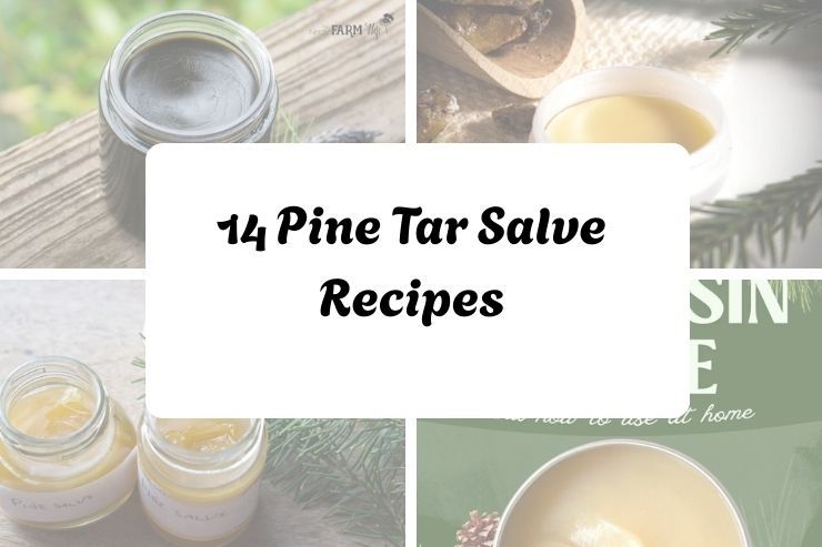 14 Pine Tar Salve Recipes