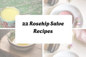 httpswishfulyou.comrosehip-salve-recipes_20251206165000