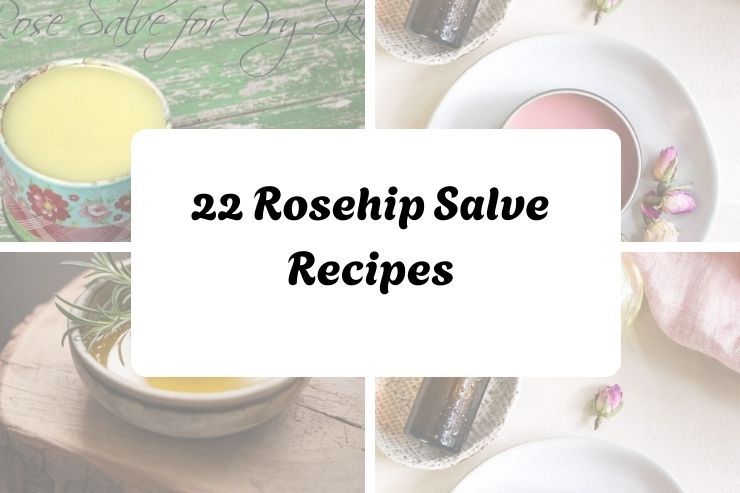 22 Rosehip Salve Recipes