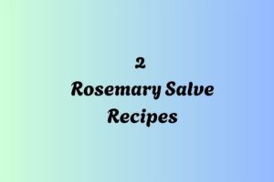 httpswishfulyou.comrosemary-salve-recipes_20251206164818