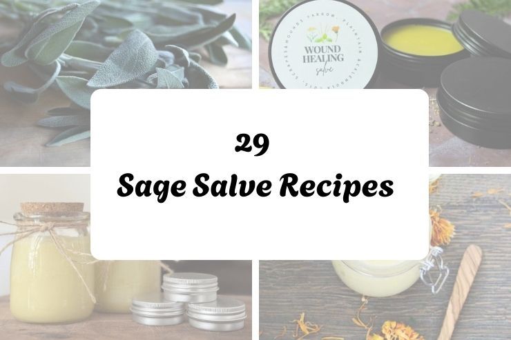 29 Sage Salve Recipes 29 Sage Salve Recipes