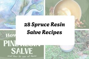 httpswishfulyou.comspruce-resin-salve-recipes_20251206164910
