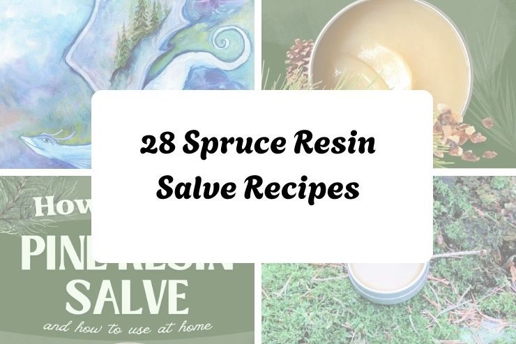 28 Spruce Resin Salve Recipes 28 Spruce Resin Salve Recipes