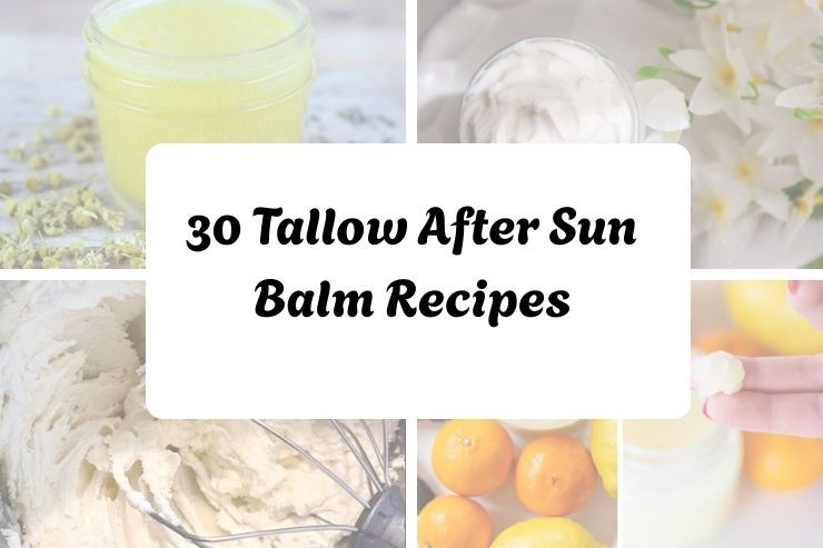 30 Tallow After Sun Balm Recipes