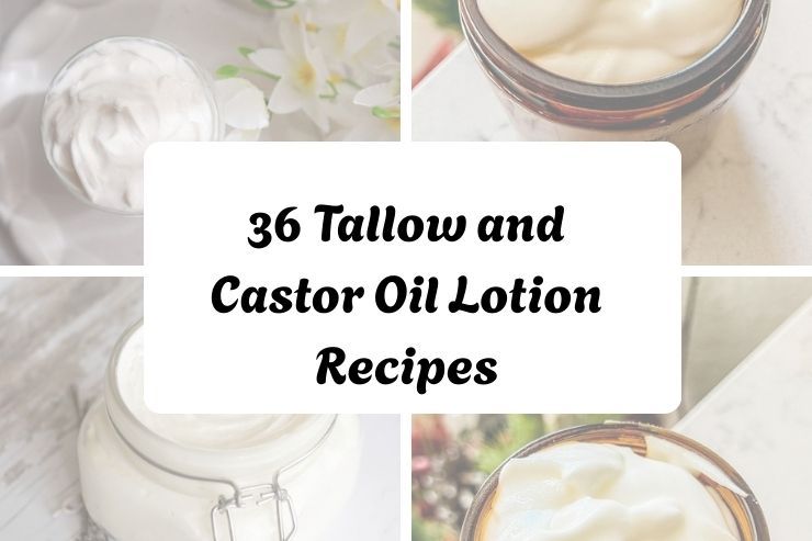 36 Tallow and Castor Oil Lotion Recipes