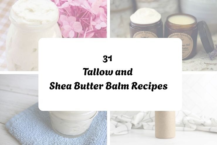 31 Tallow and Shea Butter Balm Recipes