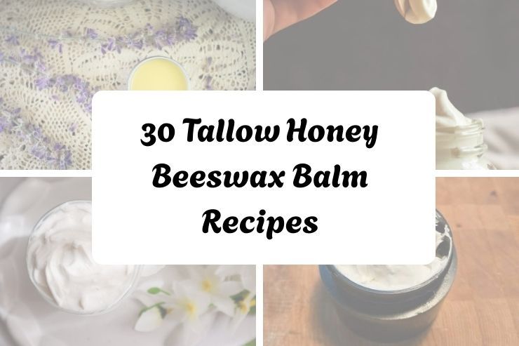30 Tallow Honey Beeswax Balm Recipes