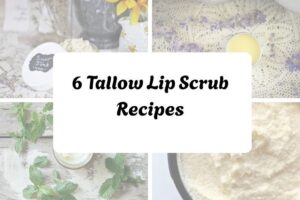 httpswishfulyou.comtallow-lip-scrub-recipes_20251206165258