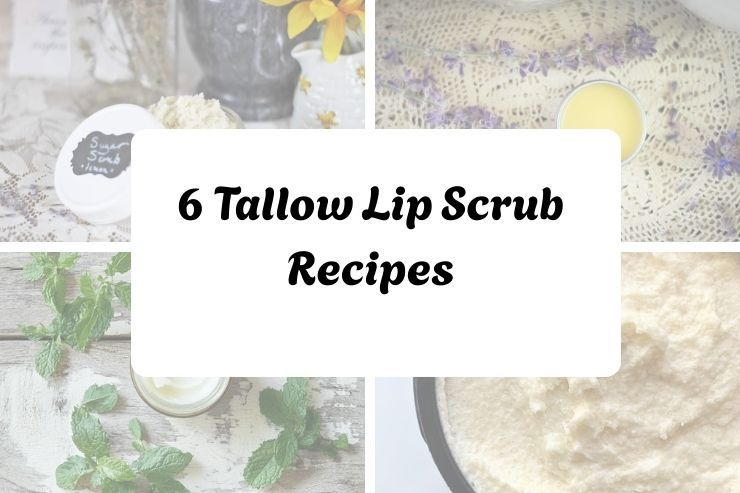 6 Tallow Lip Scrub Recipes