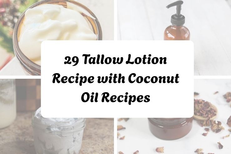 29 Tallow Lotion Recipe with Coconut Oil Recipes