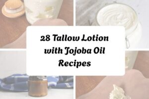 httpswishfulyou.comtallow-lotion-with-jojoba-oil-recipes_20251206165415