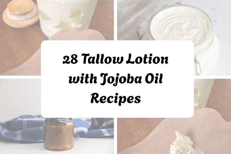 28 Tallow Lotion with Jojoba Oil Recipes