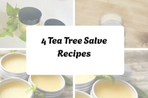 httpswishfulyou.comtea-tree-salve-recipes_20251206165045