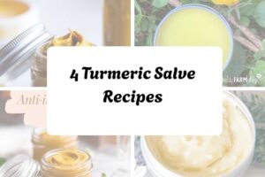 httpswishfulyou.comturmeric-salve-recipes_20251206165308