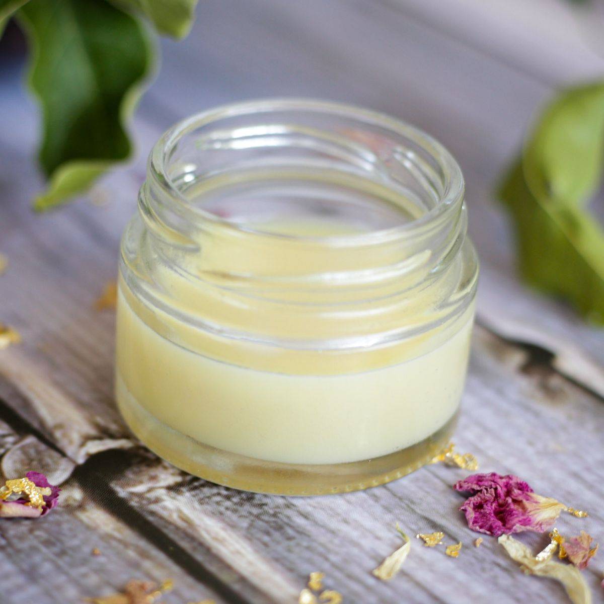 31 DIY Lip Balm Without Beeswax Recipes Image