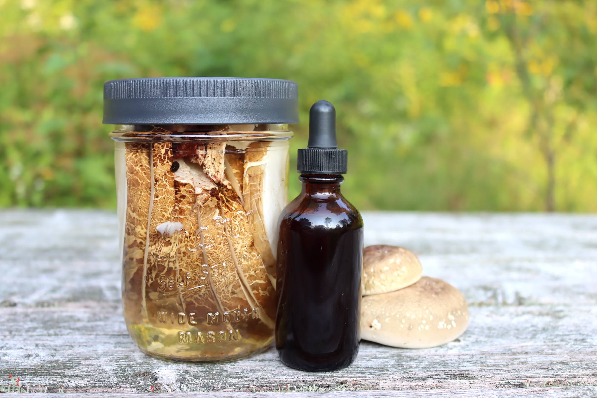 14 Mushroom Tincture Recipes Image