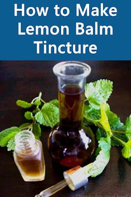 10 Lemon Tincture Recipes Image