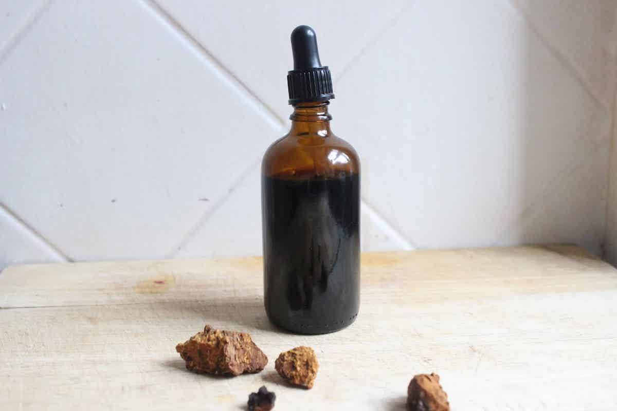 14 Mushroom Tincture Recipes Image
