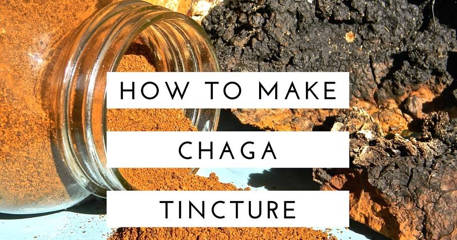 14 Mushroom Tincture Recipes Image