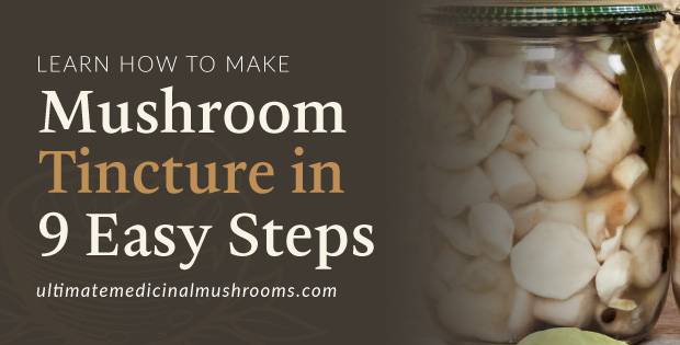 14 Mushroom Tincture Recipes Image