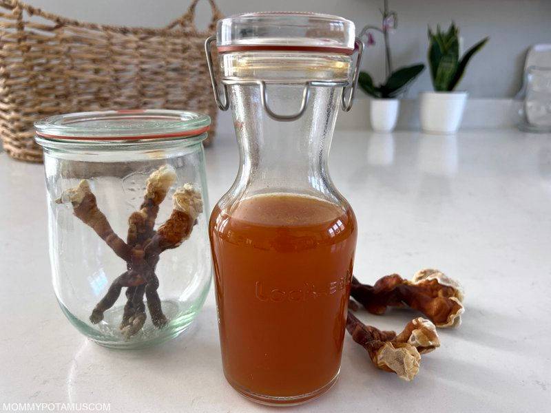 14 Mushroom Tincture Recipes Image