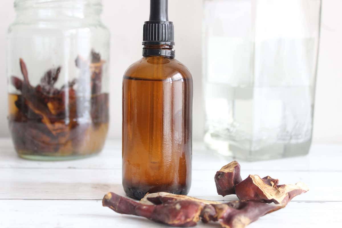 14 Mushroom Tincture Recipes Image