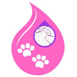 58 Roller Ball Essential Oil Recipes Image