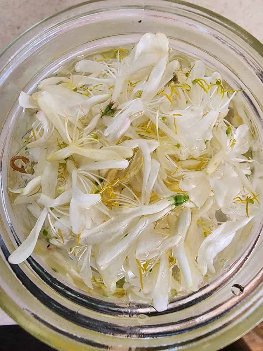 12 Green Dragon Tincture Recipes Image