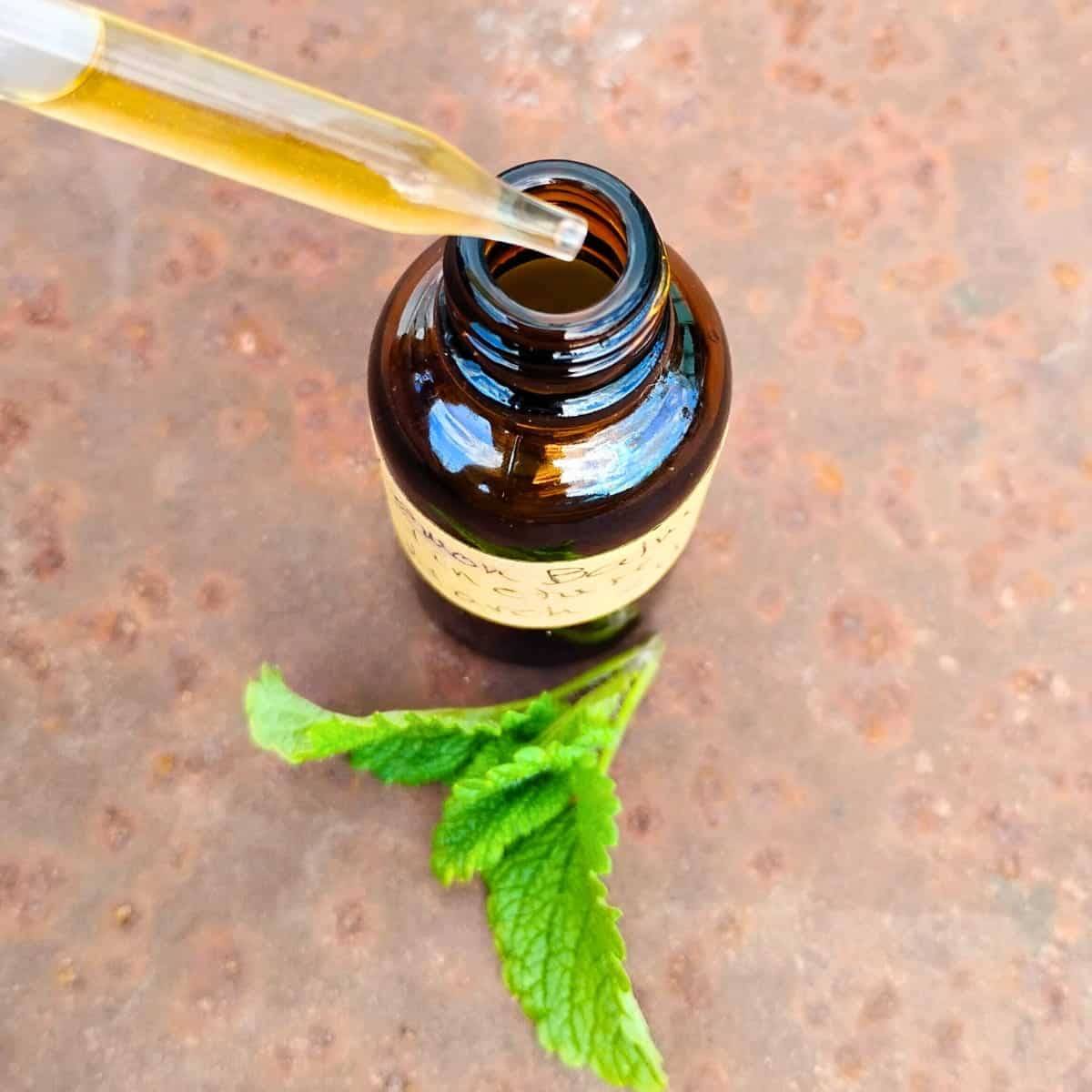 10 Lemon Tincture Recipes Image