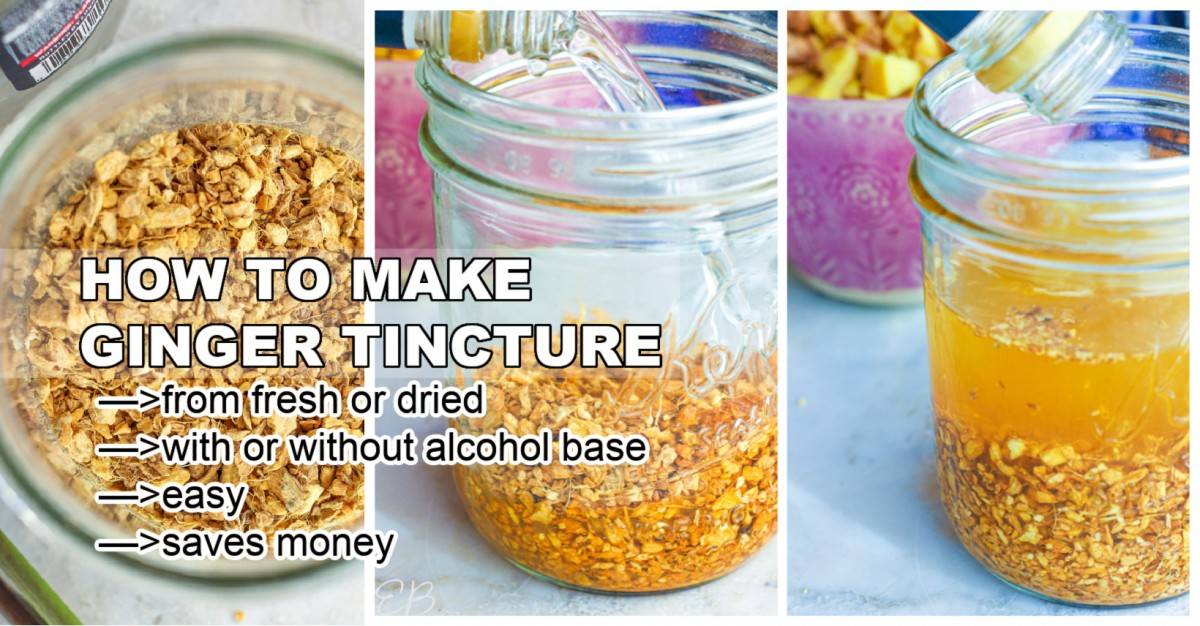 12 Green Dragon Tincture Recipes Image