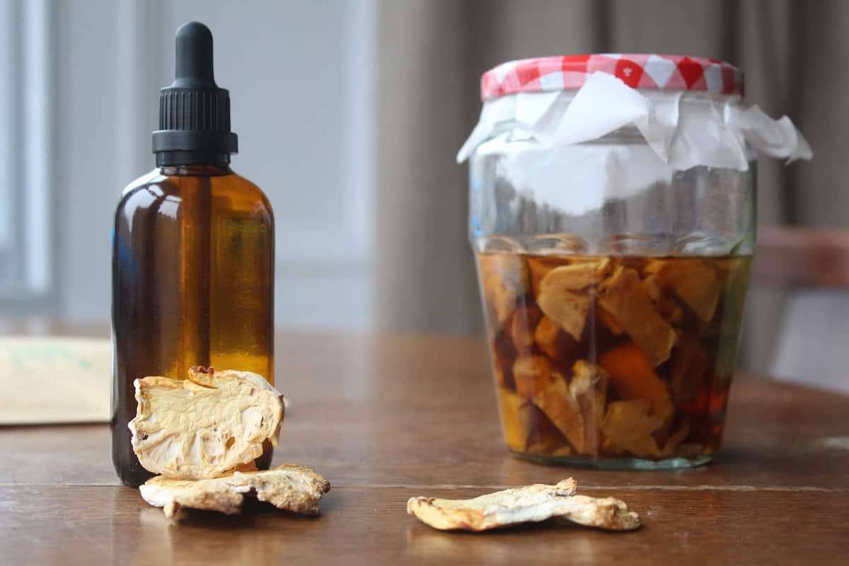 14 Mushroom Tincture Recipes Image