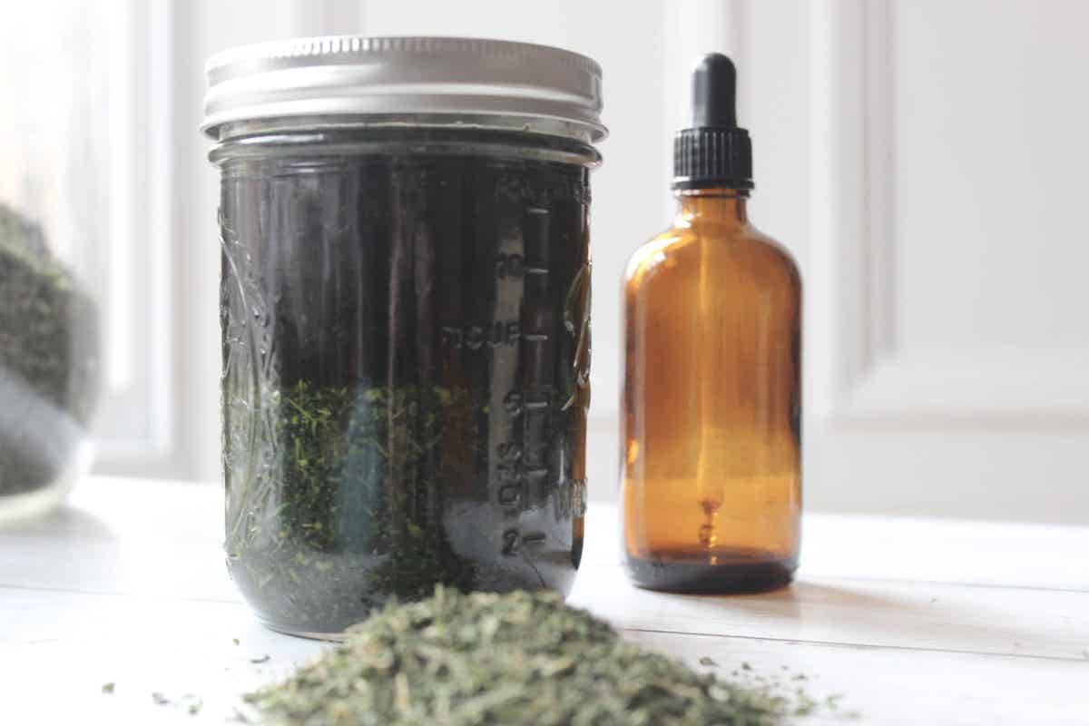12 Green Dragon Tincture Recipes Image