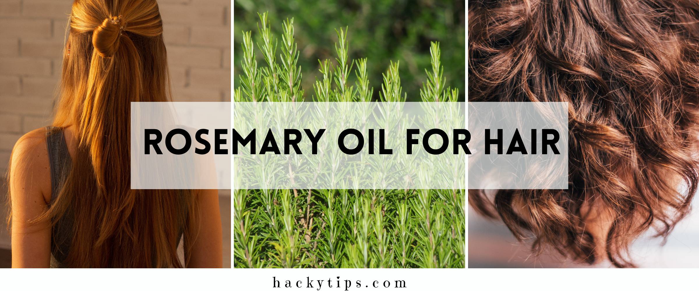 30 Rosemary Castor Oil Hair Growth Recipes Image