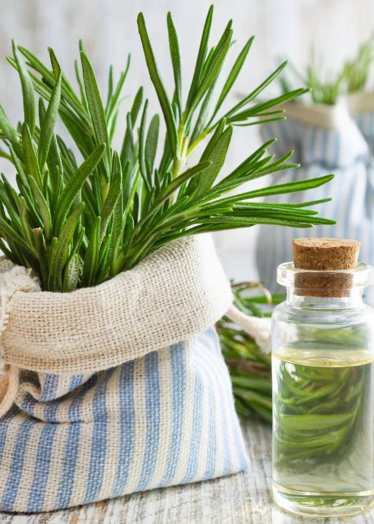 30 Rosemary Castor Oil Hair Growth Recipes Image