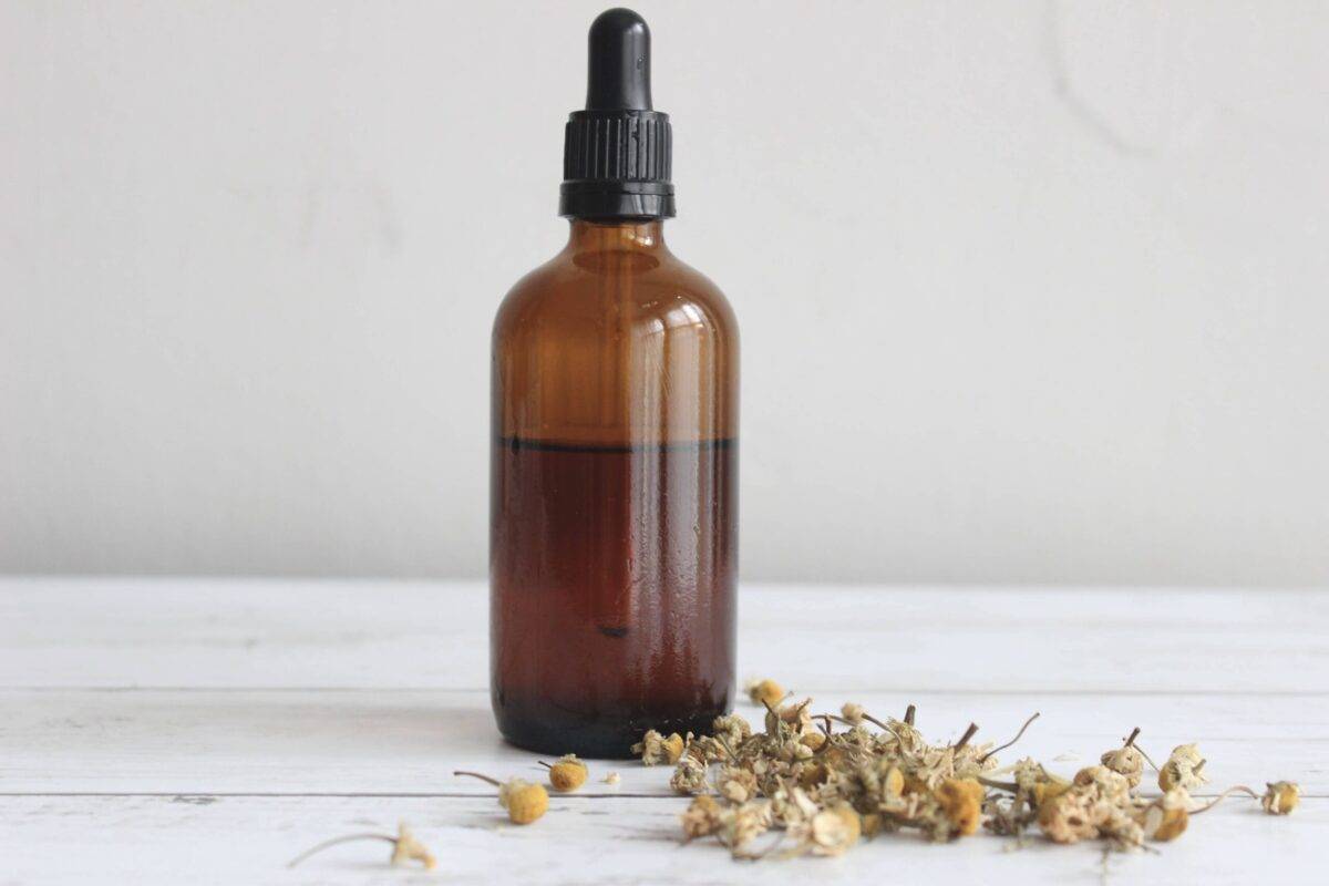 14 Mushroom Tincture Recipes Image