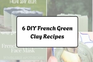 httpswishfulyou.com6-diy-french-green-clay-recipes_20260321162907