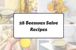 httpswishfulyou.combeeswax-salve-recipes_20260321162626