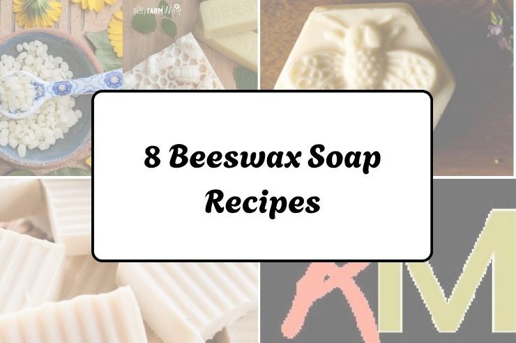 8 Beeswax Soap Recipes