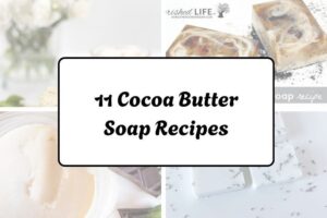 httpswishfulyou.comcocoa-butter-soap-recipes_20260321072858