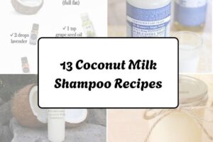 httpswishfulyou.comcoconut-milk-shampoo-recipes_20260321163311