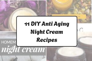 httpswishfulyou.comdiy-anti-aging-night-cream-recipes_20260321163217