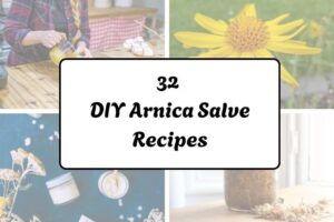 httpswishfulyou.comdiy-arnica-salve-recipes_20260321072310