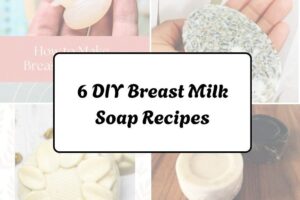 httpswishfulyou.comdiy-breast-milk-soap-recipes_20260321163122