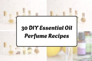 httpswishfulyou.comdiy-essential-oil-perfume-recipes_20260321162716