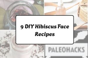 httpswishfulyou.comdiy-hibiscus-face-recipes_20260321162922