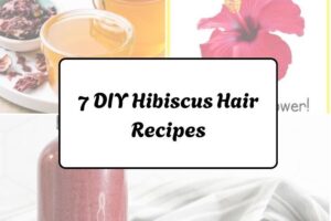 httpswishfulyou.comdiy-hibiscus-hair-recipes_20260321163236